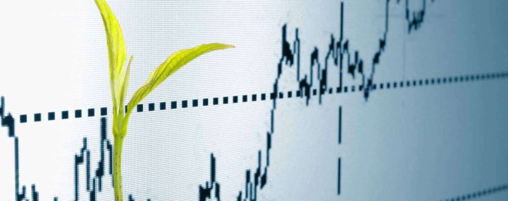 High-tech a magyar f&ouml;ldeken is