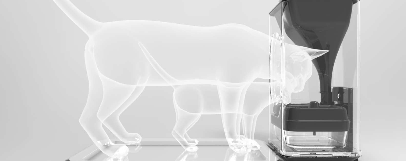 &Iacute;gy ker&uuml;lheti el, hogy macsk&aacute;j&aacute;b&oacute;l Garfield legyen