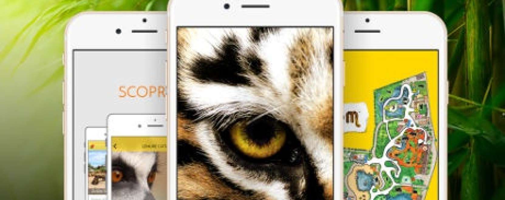 &Aacute;llatkerti s&eacute;ta egy okostelefonon