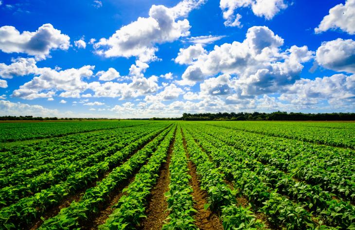 Ingyenes agrometeorológiai rendszer segíti a gazdákat