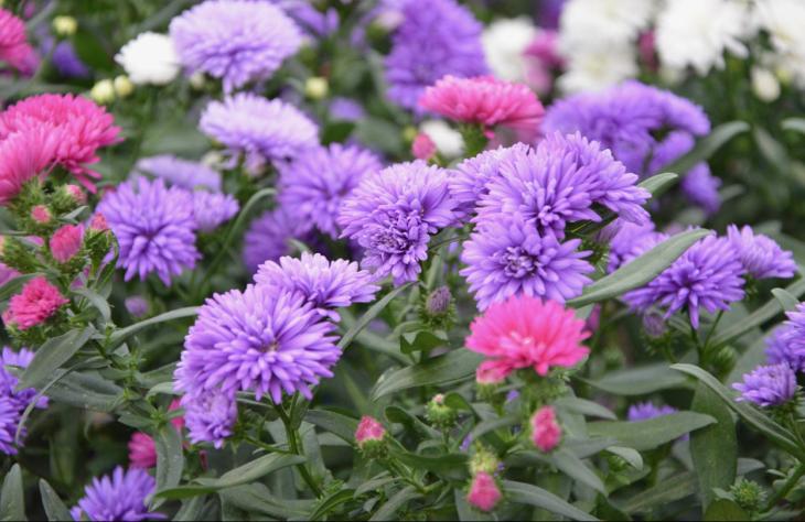 Mire van sz&uuml;ks&eacute;g a t&ouml;k&eacute;letes &aacute;gy&aacute;sszeg&eacute;lyhez?