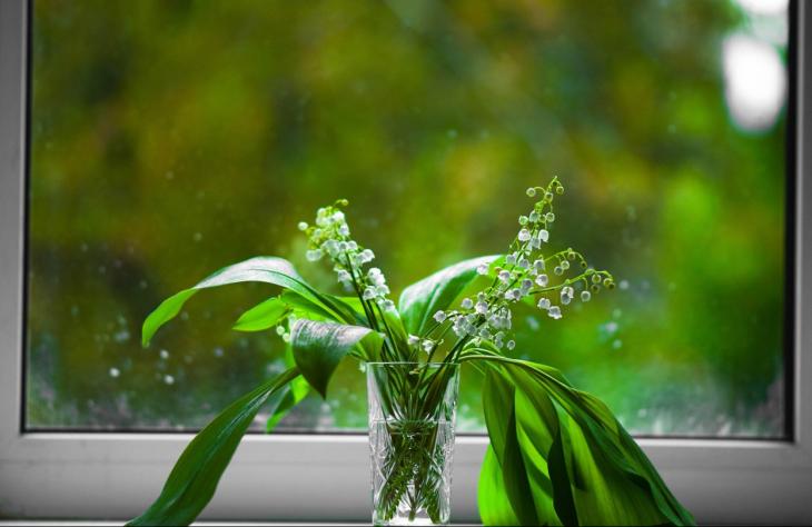 Ny&iacute;l&aacute;sz&aacute;r&oacute;k, amelyek otthon&aacute;hoz igazodnak