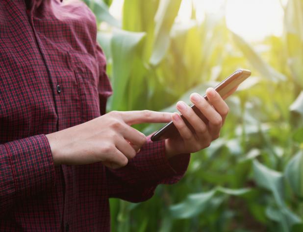 Digitális asszisztens segíthet a mezőgazdasági ügyvitelben