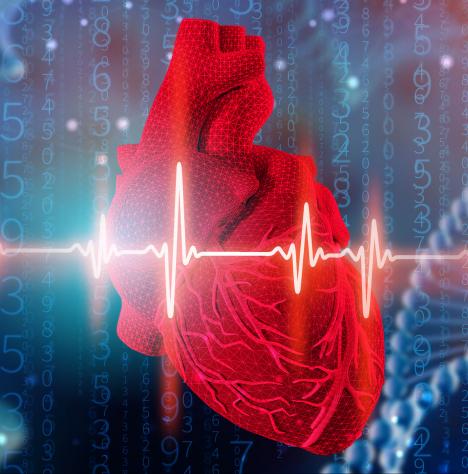 Ez az új mesterséges szív a beteggel összhangban dobog