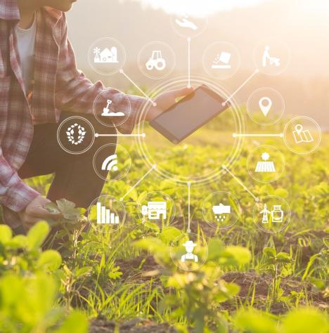 Smart Farm: ilyen lesz a jövő digitális mintagazdasága