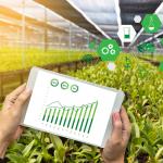 A mezőgazdaság versenyképessége a digitalizáción múlik