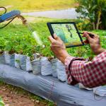Új digitális megoldásokkal támogatja az agráriumot a NAK