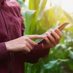 Digitális csapdahálózatok a fenntarthatóbb mezőgazdaságért