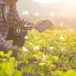 Smart Farm: ilyen lesz a jövő digitális mintagazdasága